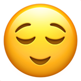 2-point quick release